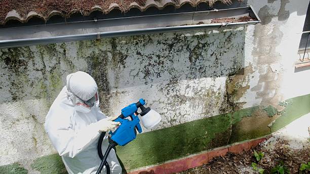Top rated local Crawl Space Mold Remediation specialists in Clarence, PA